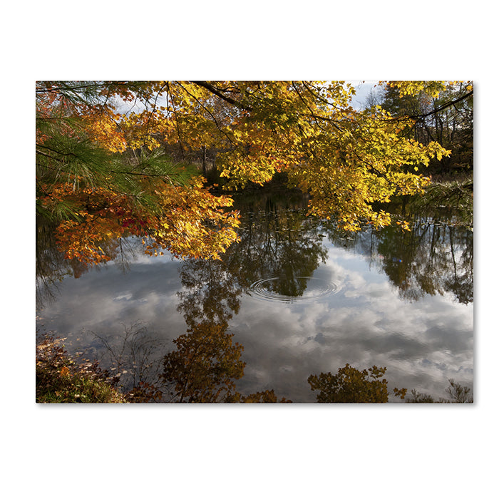 Kurt Shaffer Kendal Lake Autumn Reflection 14 x 19 Canvas Art Image 1