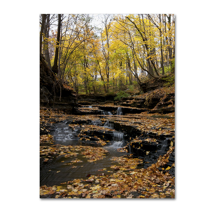 Kurt Shaffer Lakeview Autumn Falls 3 14 x 19 Canvas Art Image 1