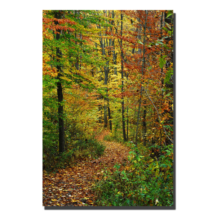 Kurt Shaffer Fall Trail 14 x 19 Canvas Art Image 1
