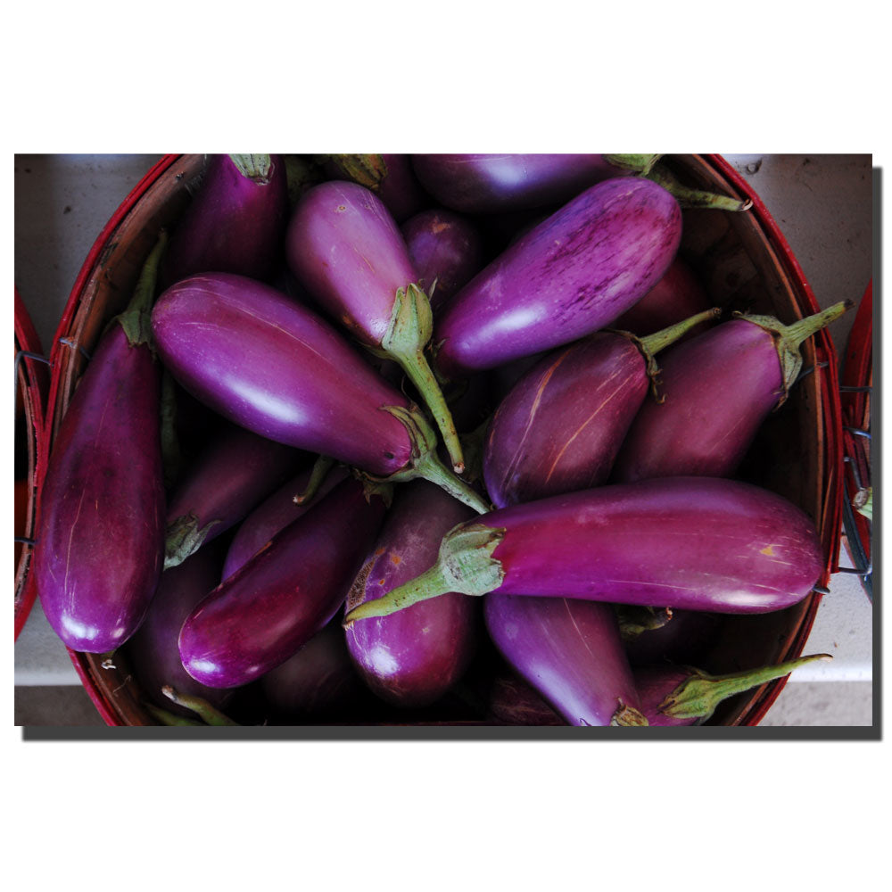 Kurt Shaffer Eggplants 14 x 19 Canvas Art Image 1