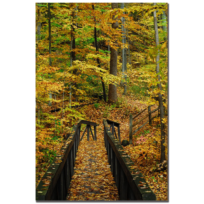 Kurt Shaffer Fall Bridge 14 x 19 Canvas Art Image 1