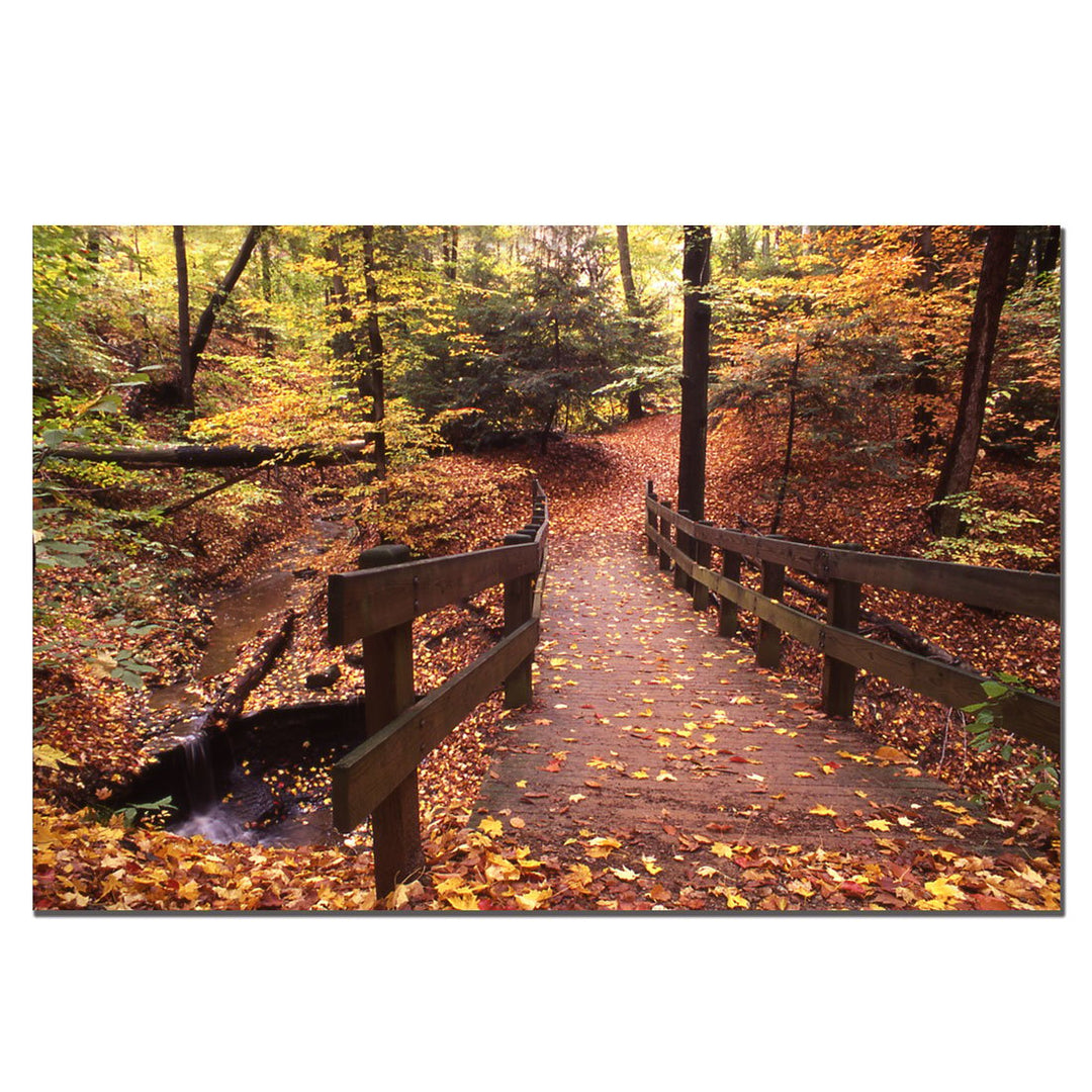 Kurt Shaffer Autumn Bridge 14 x 19 Canvas Art Image 1