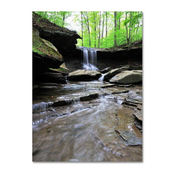 Kurt Shaffer Blue Hen Falls in Spring 14 x 19 Canvas Art Image 1