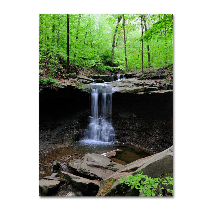 Kurt Shaffer Blue Hen Falls 14 x 19 Canvas Art Image 1