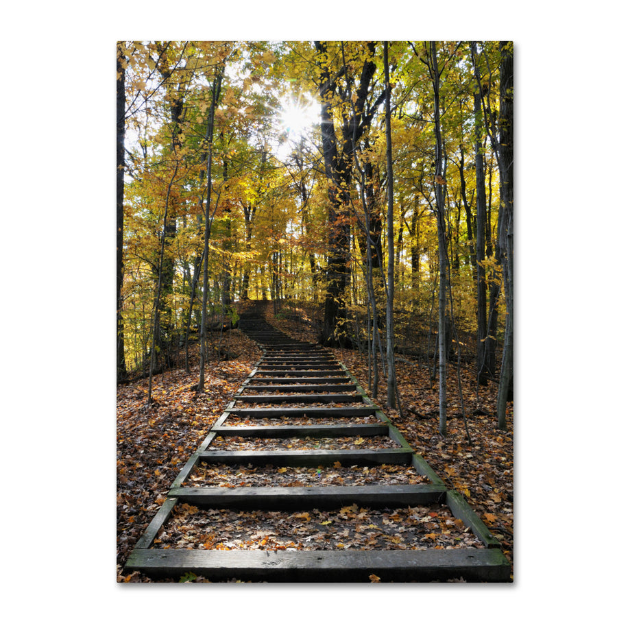 Kurt Shaffer Fall Stairway 2 14 x 19 Canvas Art Image 1