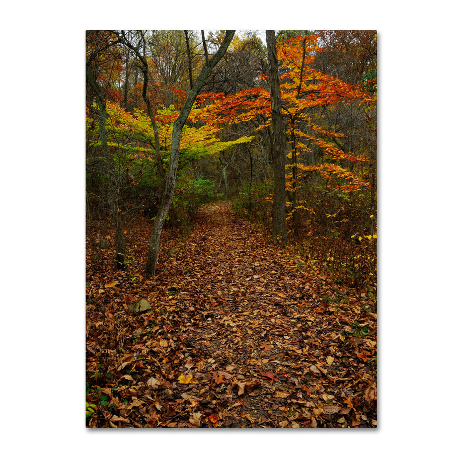 Kurt Shaffer Late Autumn Hike 14 x 19 Canvas Art Image 1