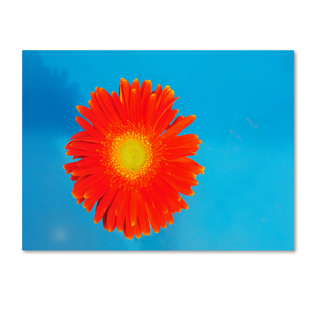 Kurt Shaffer Orange and Blue 14 x 19 Canvas Art Image 2