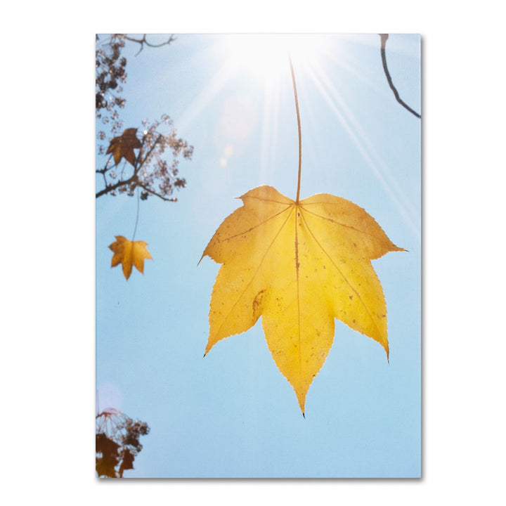 Kurt Shaffer Autumn Inspiration 14 x 19 Canvas Art Image 1