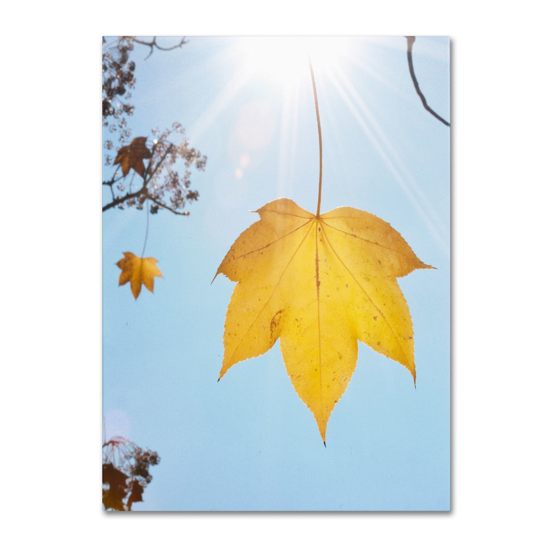 Kurt Shaffer Autumn Inspiration 14 x 19 Canvas Art Image 2