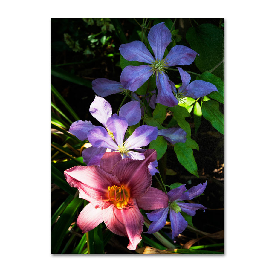 Kurt Shaffer Clematis and Lily 14 x 19 Canvas Art Image 1