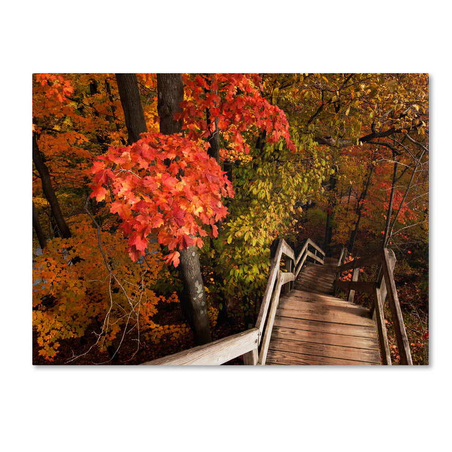 Kurt Shaffer Brilliant Autumn Stairway 14 x 19 Canvas Art Image 1