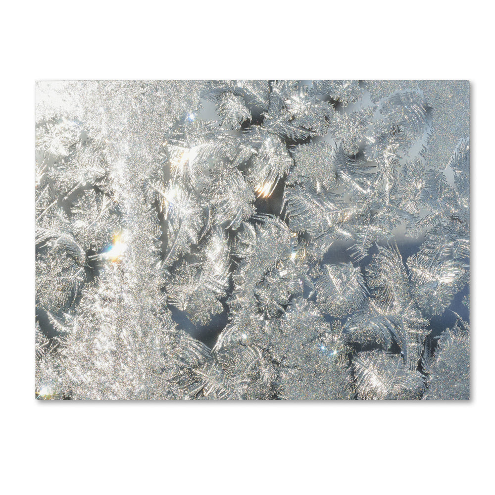 Kurt Shaffer Frost Pattern in the Sun 14 x 19 Canvas Art Image 2