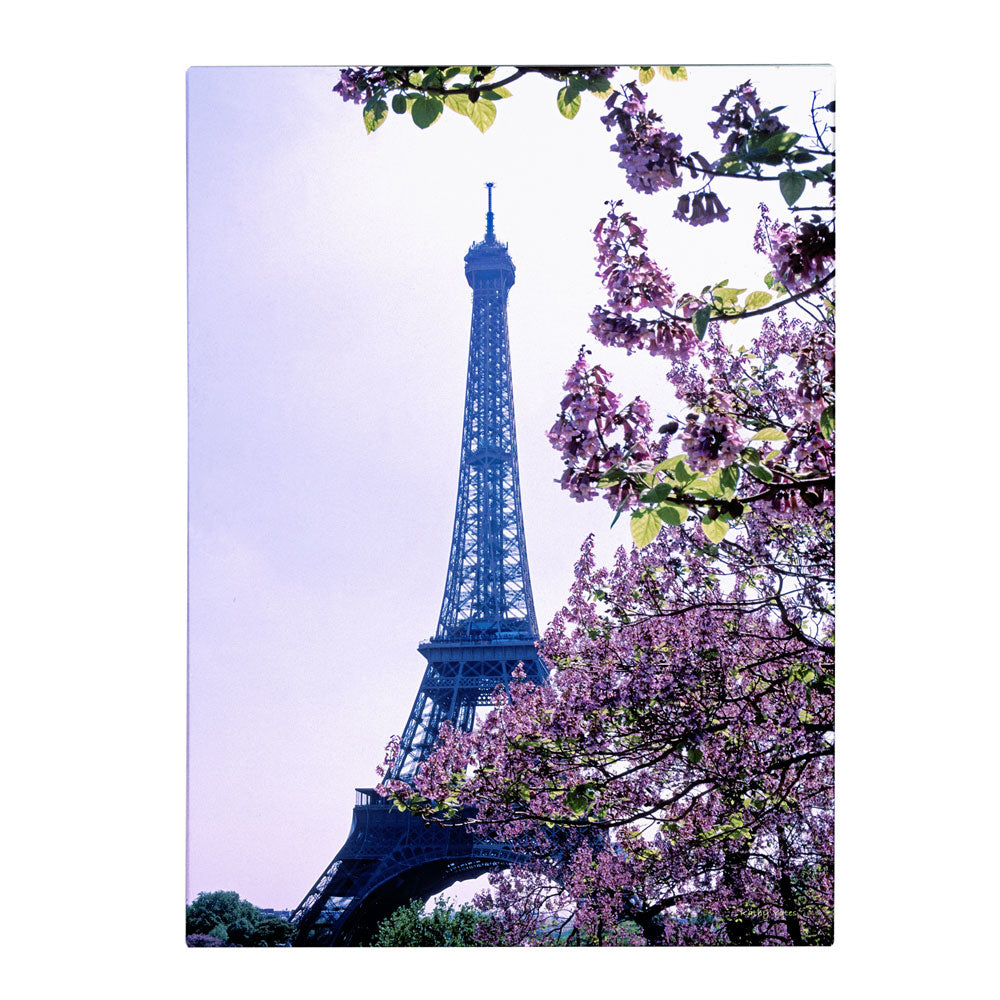 Kathy Yates Eiffel Tower with Blossoms 14 x 19 Canvas Art Image 1
