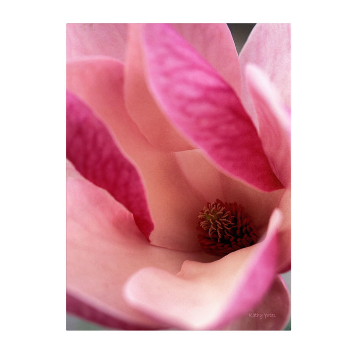 Kathy Yates Tulip Magnolia Blossom 14 x 19 Canvas Art Image 1