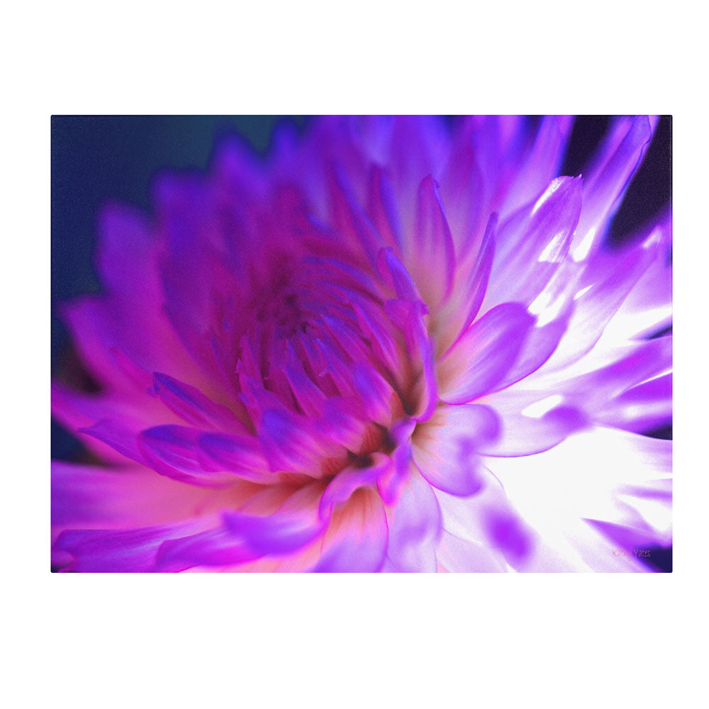 Kathy Yates Mod Dahlia 14 x 19 Canvas Art Image 1