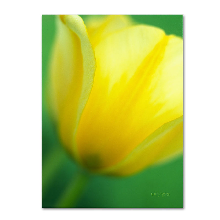 Kathy Yates Hint of a Tulip 14 x 19 Canvas Art Image 1