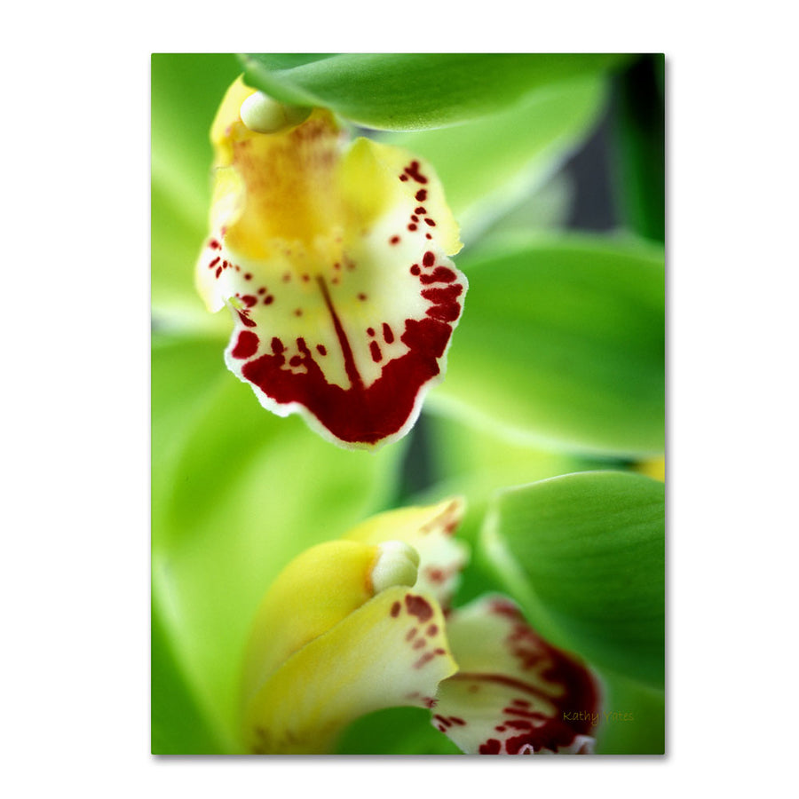 Kathy Yates Cymbidium Seafoam Emerald Orchid 14 x 19 Canvas Art Image 1