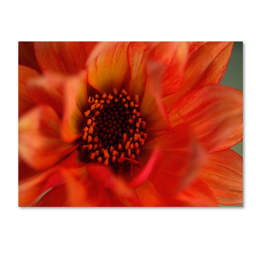 Kathy Yates Fiery Dahlia 14 x 19 Canvas Art Image 1