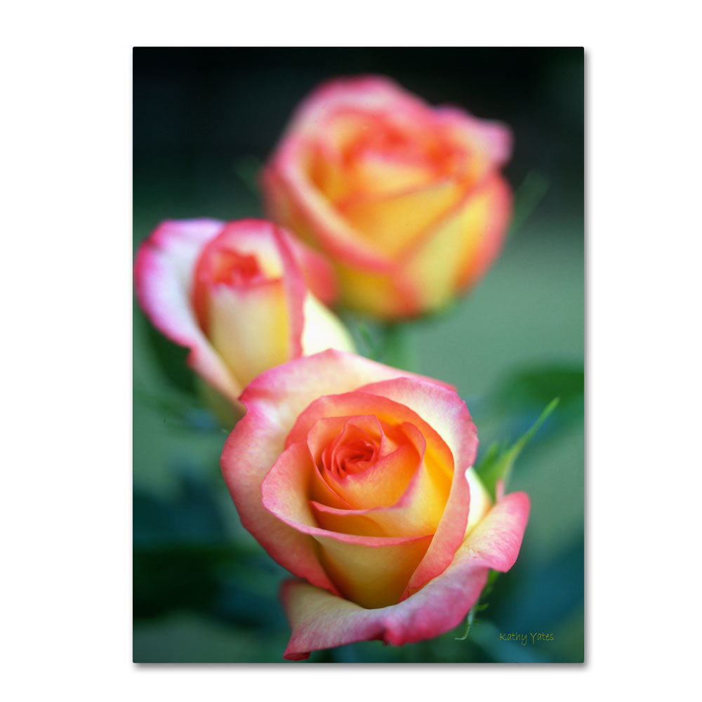 Kathy Yates Rose Trio 14 x 19 Canvas Art Image 1