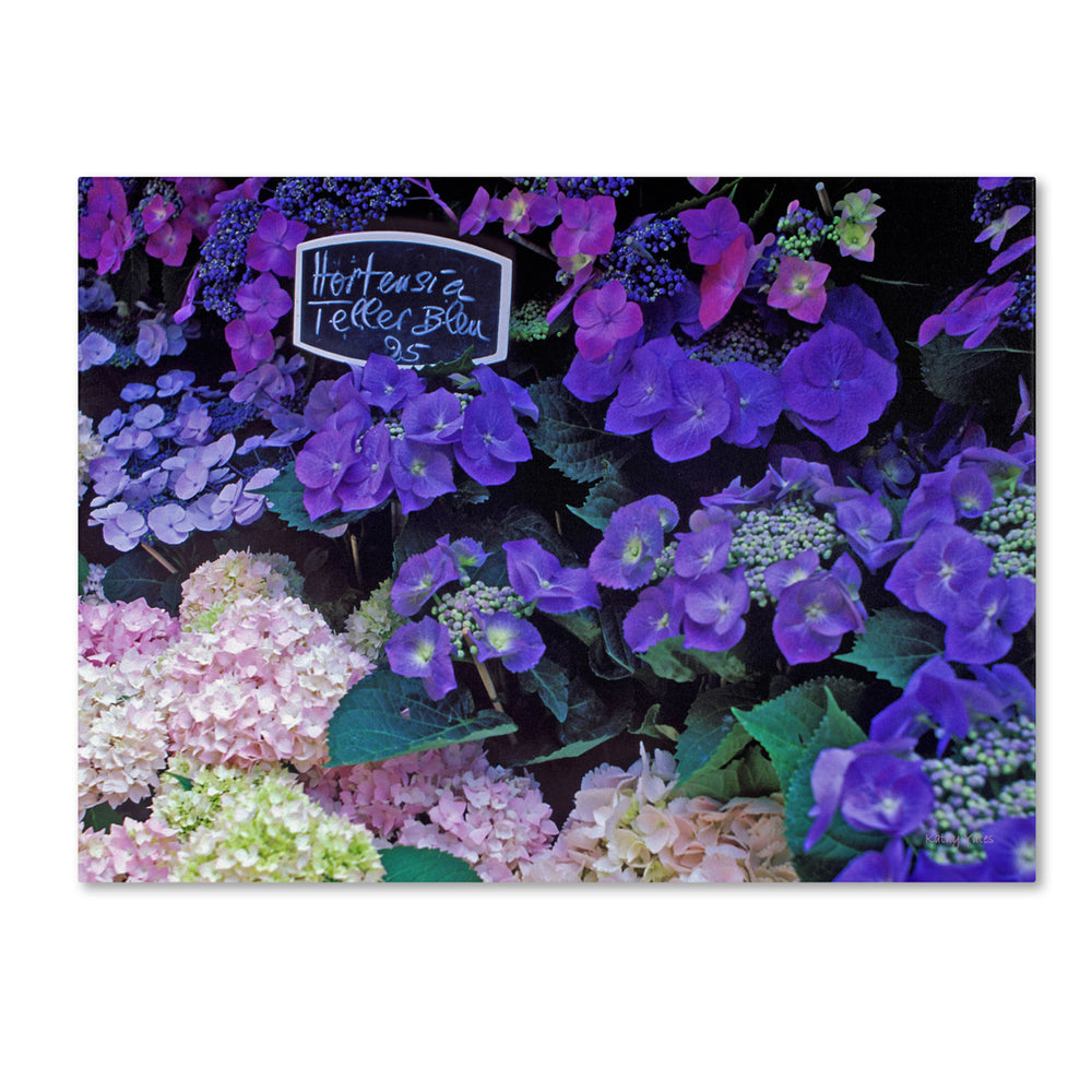 Kathy Yates Paris Flower Market Hydrangeas 14 x 19 Canvas Art Image 2
