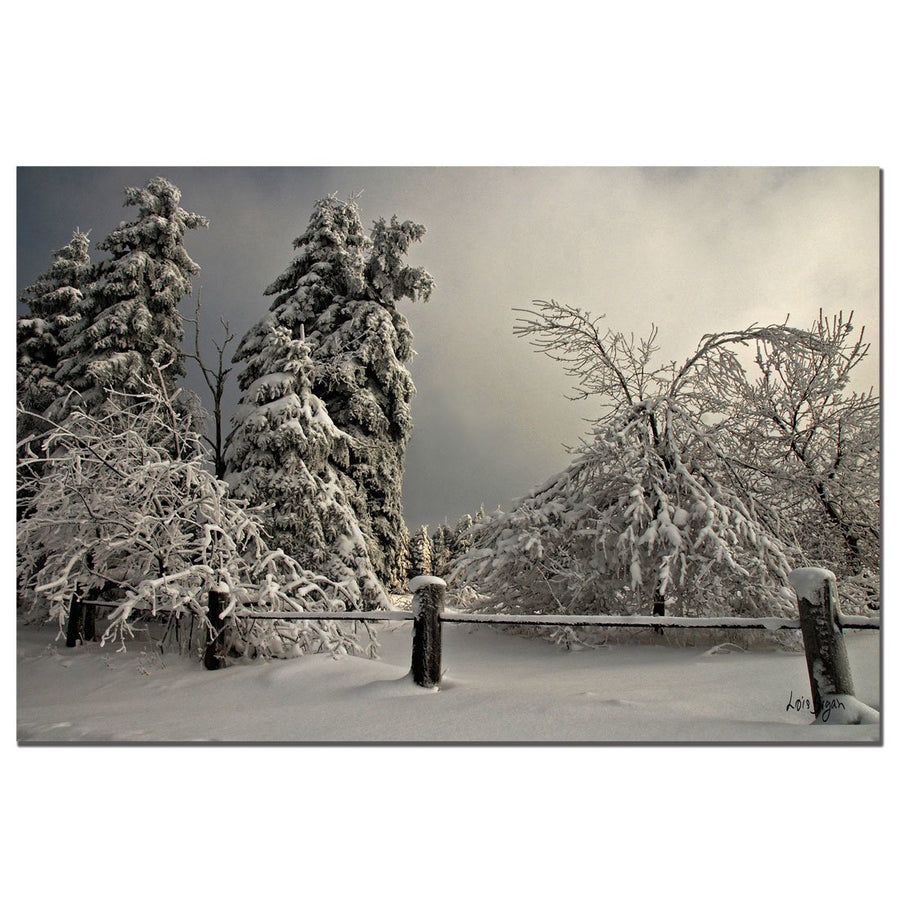 Lois Bryan Winter Scene II 14 x 19 Canvas Art Image 1