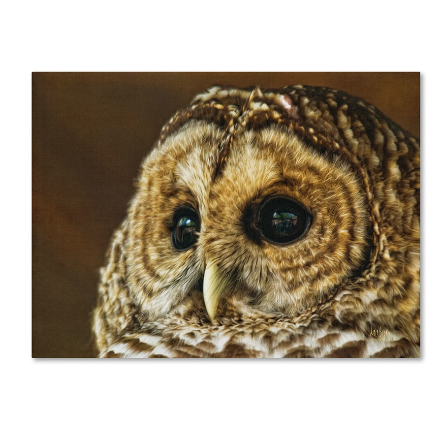 Lois Bryan Barred Owl Portrait 14 x 19 Canvas Art Image 1