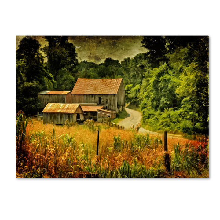 Lois Bryan Country Road In Summer 14 x 19 Canvas Art Image 1