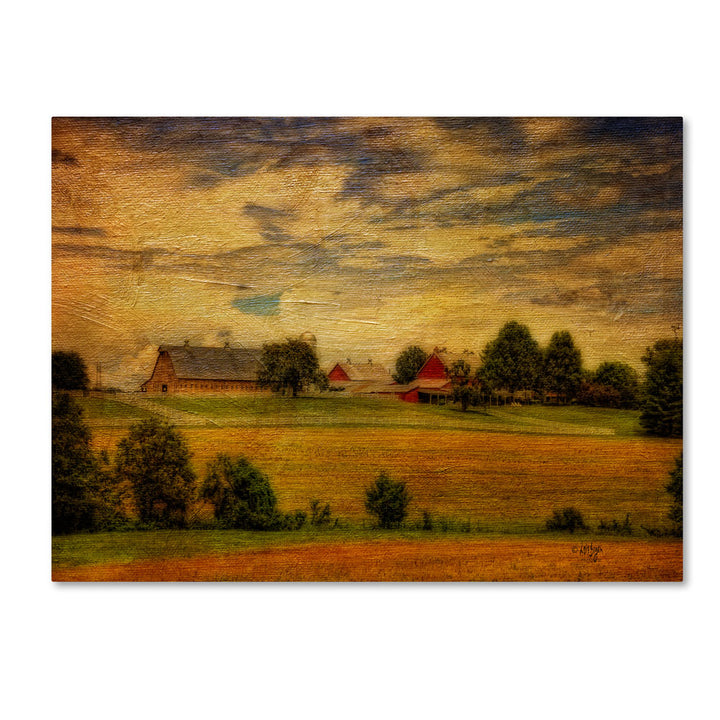 Lois Bryan Summer Farm 14 x 19 Canvas Art Image 1