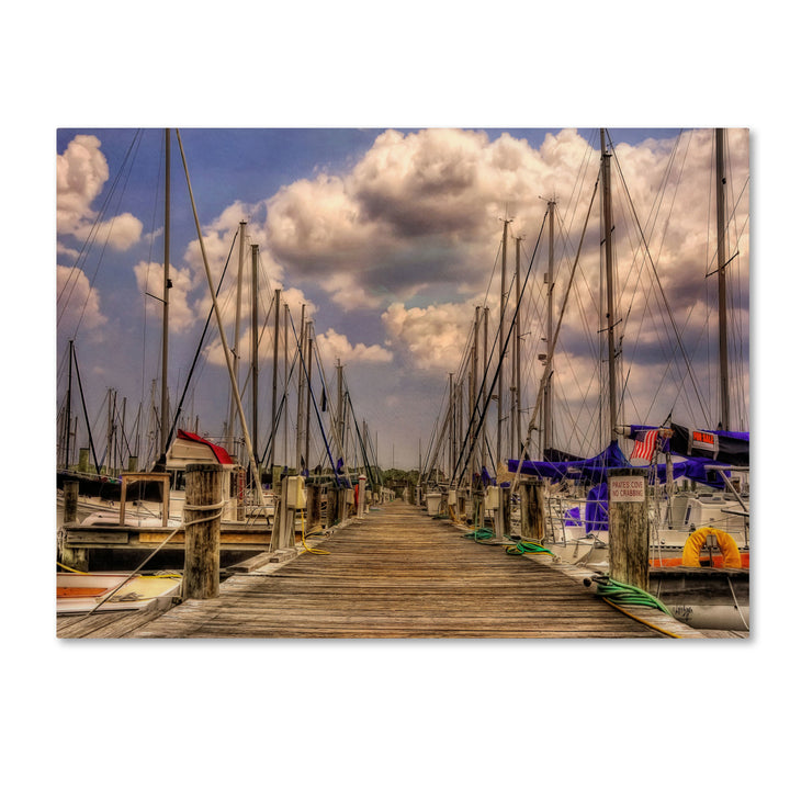 Lois Bryan Pirates Cove 14 x 19 Canvas Art Image 2