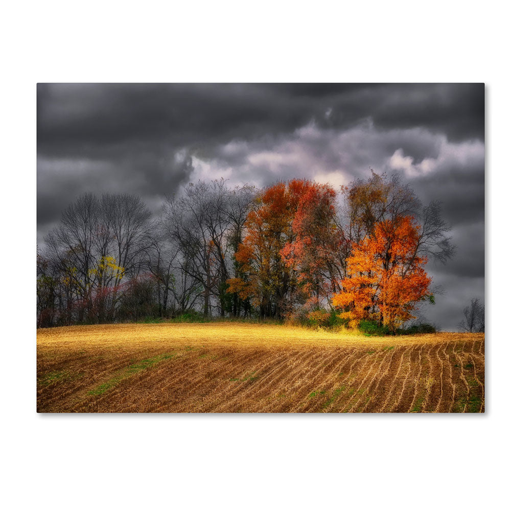 Lois Bryan Autumn Field 14 x 19 Canvas Art Image 1