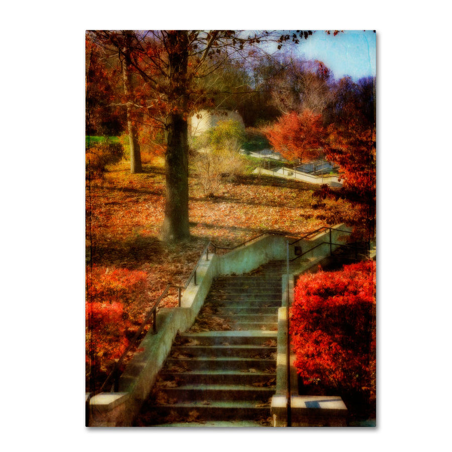 Lois Bryan Autumn Stairway 14 x 19 Canvas Art Image 1