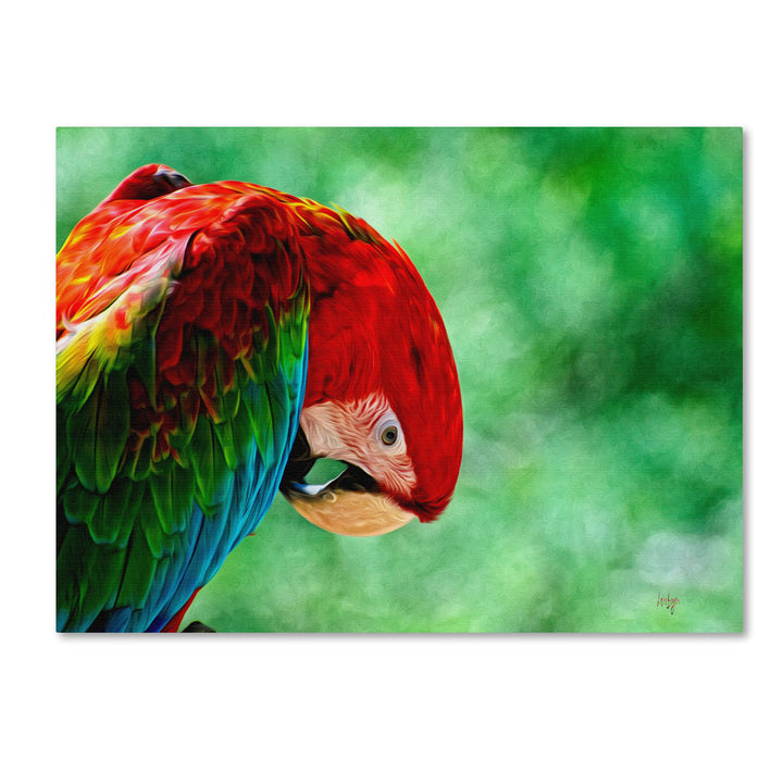 Lois Bryan Colorful Macaw 14 x 19 Canvas Art Image 1