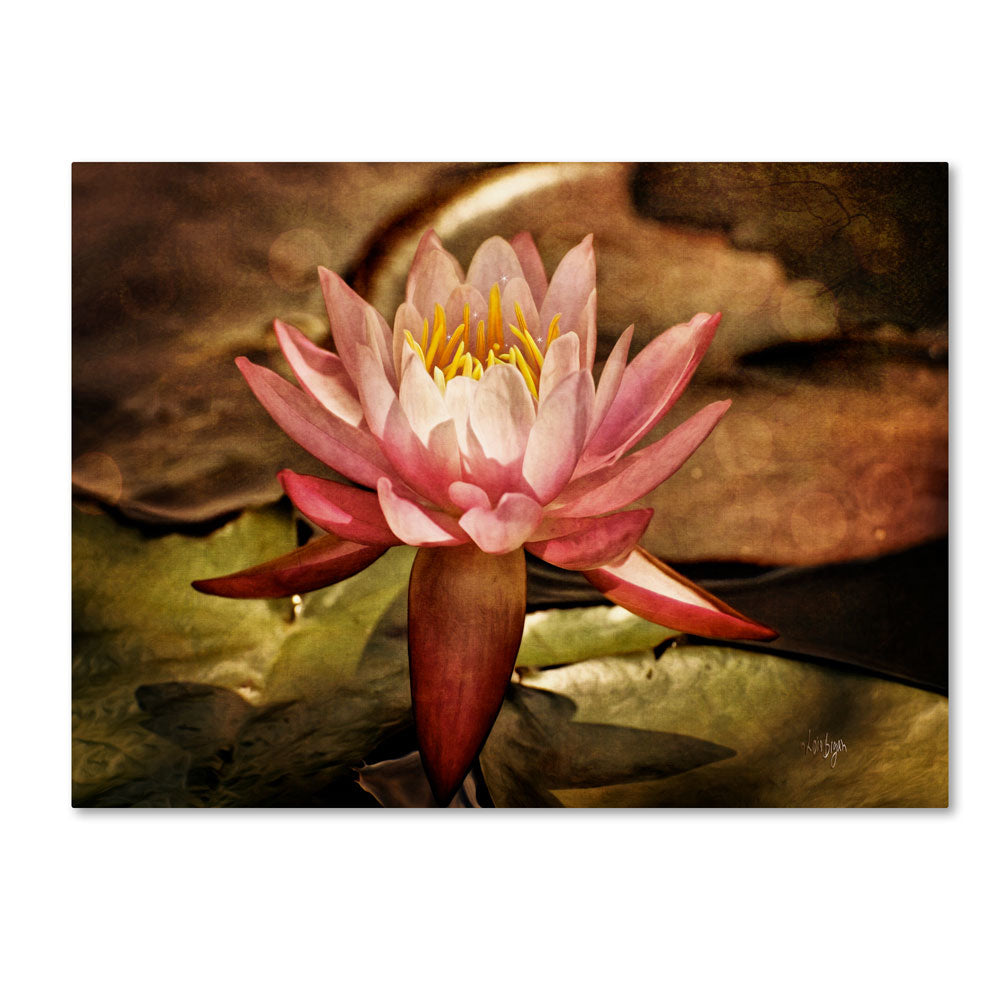 Lois Bryan Magic Lily 14 x 19 Canvas Art Image 1