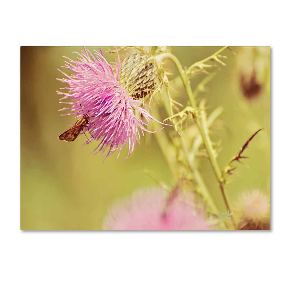 Lois Bryan Skipper On Pink Thistle 14 x 19 Canvas Art Image 1