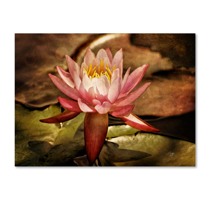 Lois Bryan Magic Lily 14 x 19 Canvas Art Image 2