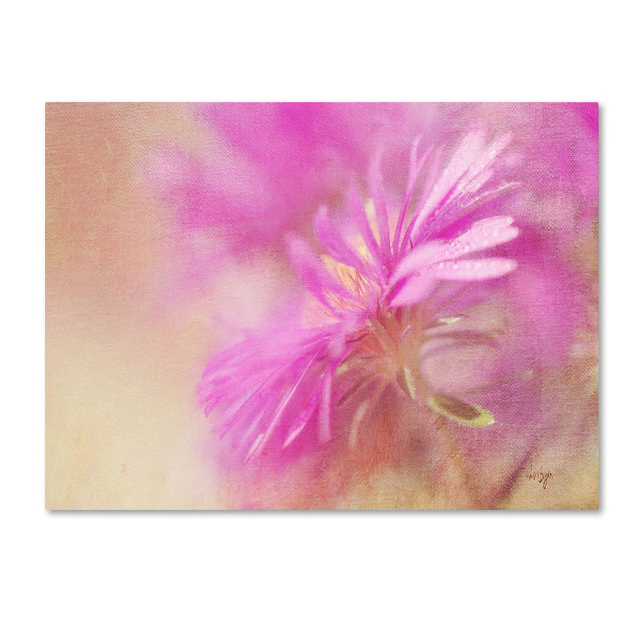 Lois Bryan Dewy Pink Aster 14 x 19 Canvas Art Image 1