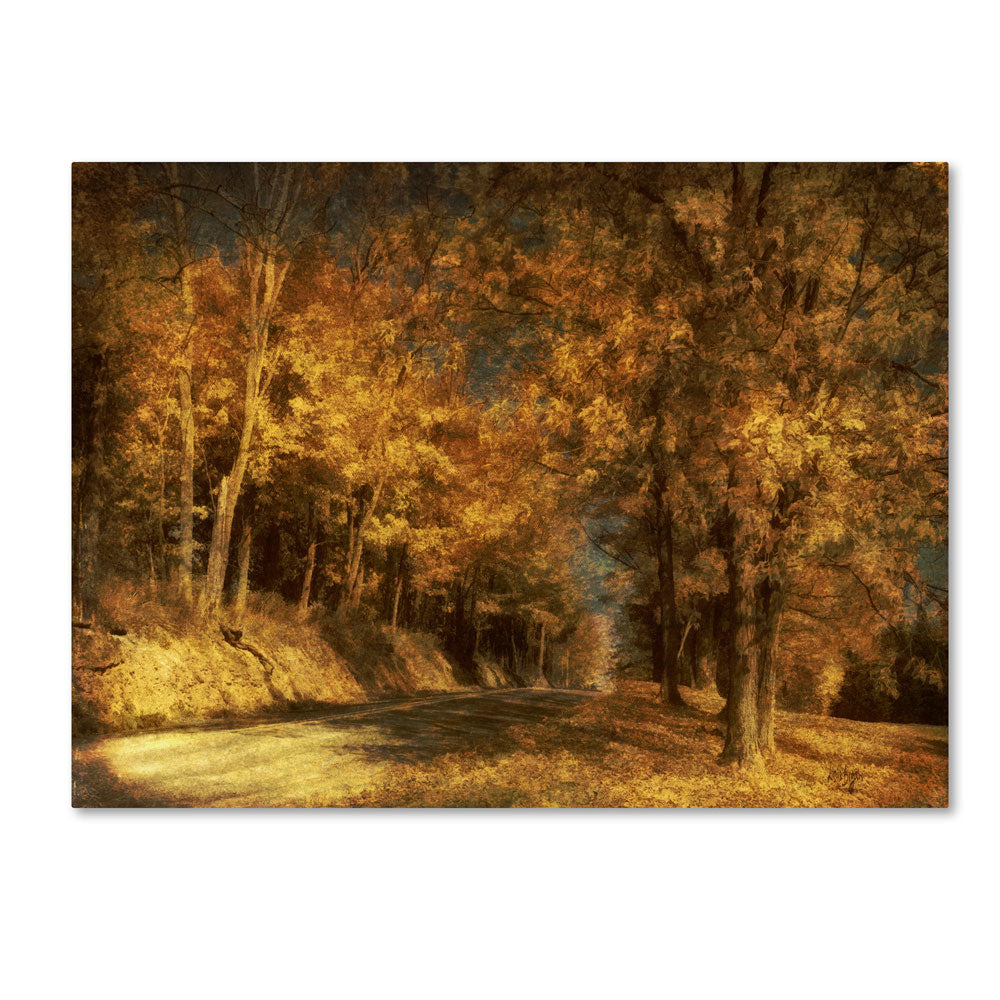 Lois Bryan Back Roads 14 x 19 Canvas Art Image 1