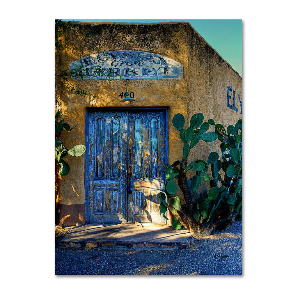 Lois Bryan Elysian Grove Market 14 x 19 Canvas Art Image 1