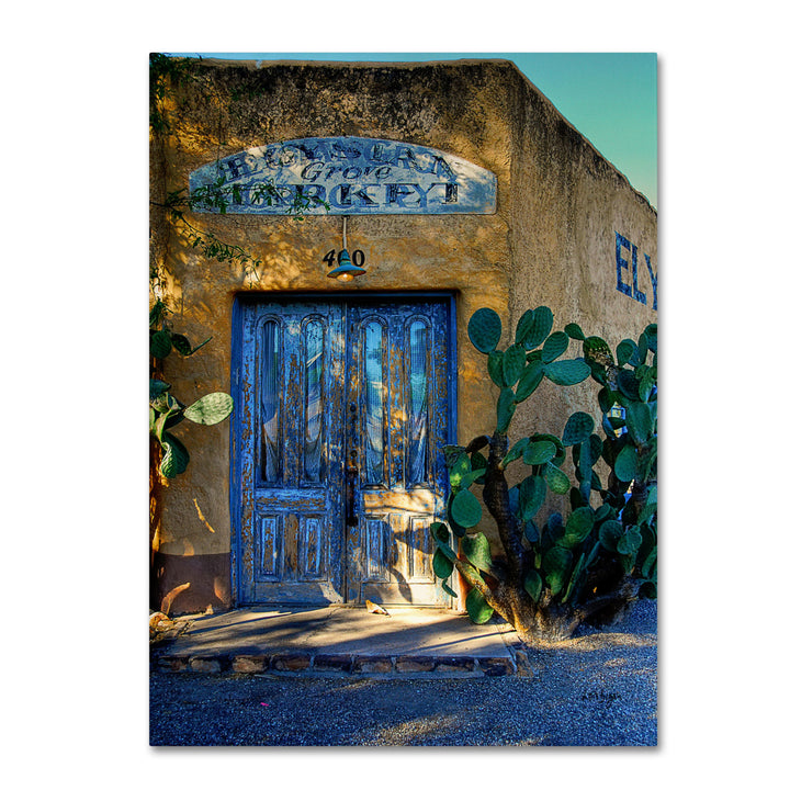 Lois Bryan Elysian Grove Market 14 x 19 Canvas Art Image 2