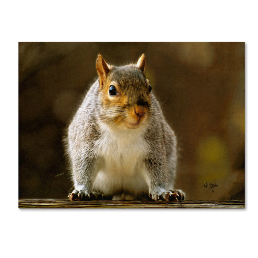 Lois Bryan Smiling Squirrel 14 x 19 Canvas Art Image 1