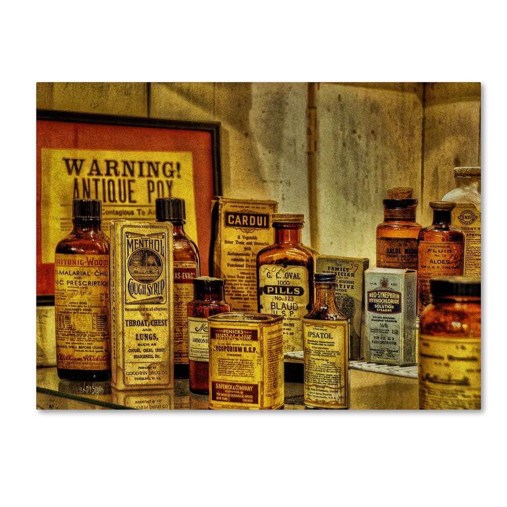 Lois Bryan Vintage Medicines 14 x 19 Canvas Art Image 1