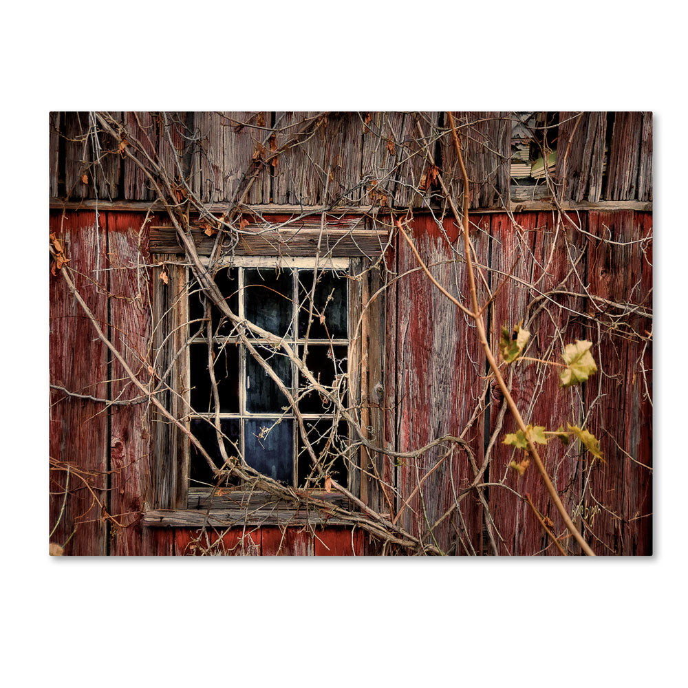 Lois Bryan Old Barn Window 14 x 19 Canvas Art Image 1