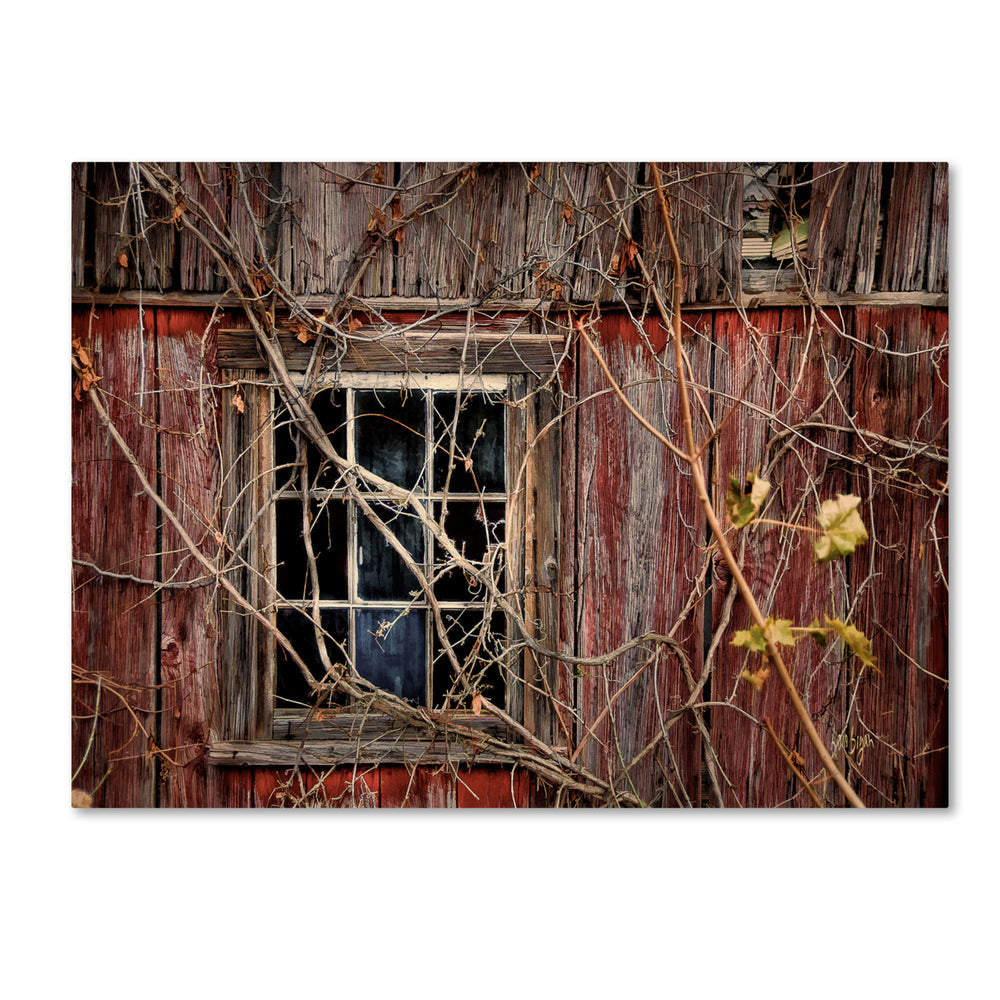 Lois Bryan Old Barn Window 14 x 19 Canvas Art Image 2