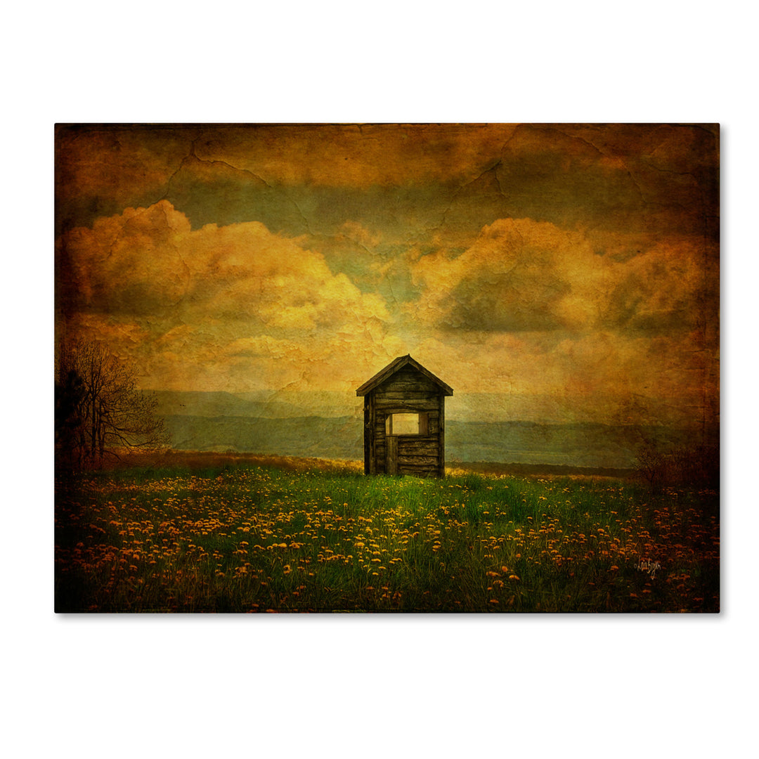 Lois Bryan Field of Dandelions 14 x 19 Canvas Art Image 2