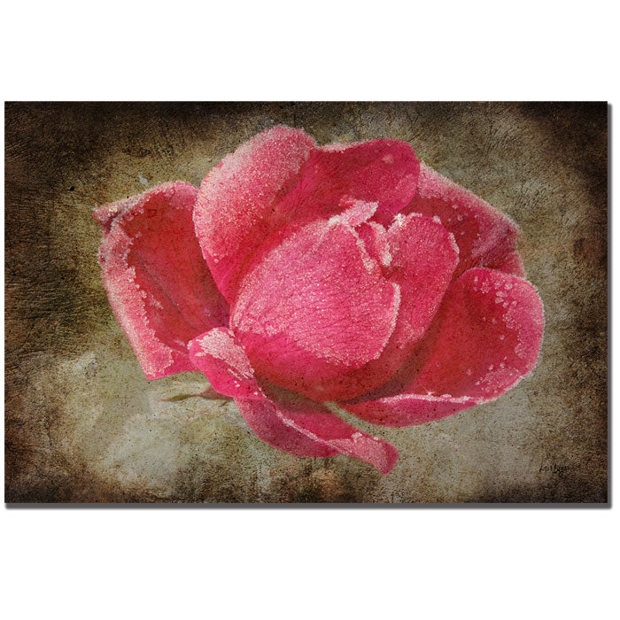 Lois Bryan Frosted Rose 14 x 19 Canvas Art Image 1
