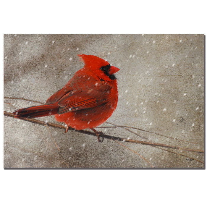 Lois Bryan Cardinal in Winter 14 x 19 Canvas Art Image 1