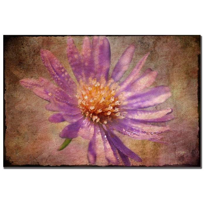 Lois Bryan Textured Aster 14 x 19 Canvas Art Image 1