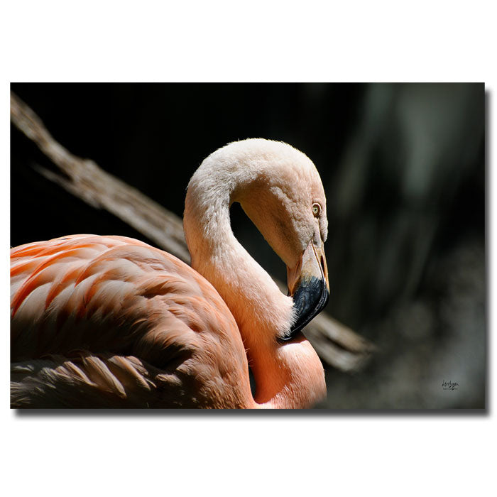 Lois Bryan The Sacred Old Flamingoes 14 x 19 Canvas Art Image 1