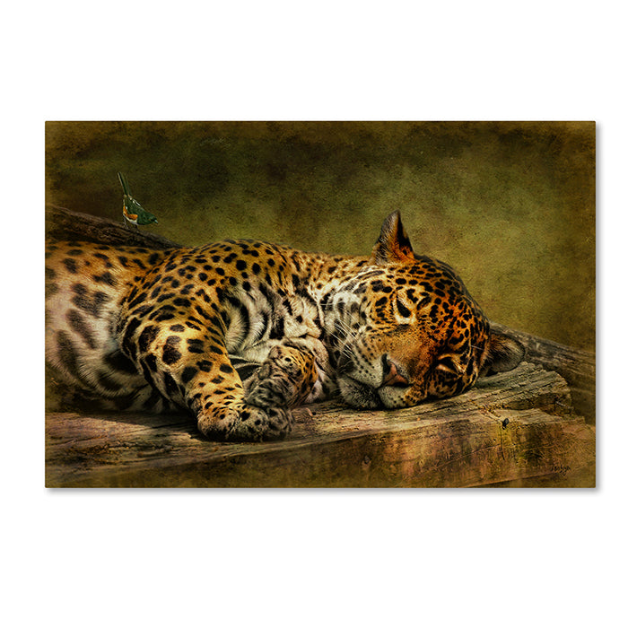 Lois Bryan Wake Up Sleepyhead 14 x 19 Canvas Art Image 1