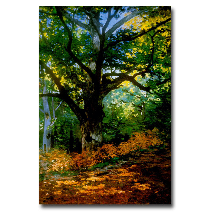 Claude Monet, Bodmer Oak, Fontainebleau Forest 14 x 19 Canvas Art Image 1